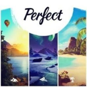 Perfect - Steam Game - Buy Now at Best Price