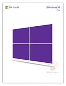 Windows 10 Professional OEM - None Game - Buy Now at Best Price