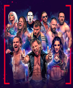 AEW: Fight Forever game cover for Steam platform