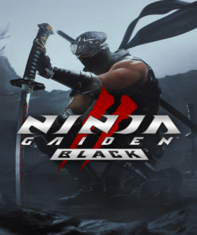 NINJA GAIDEN 2 Black game cover for Steam platform, EU region