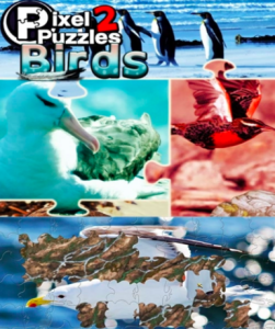 Pixel Puzzles 2: Birds game on Steam - a vibrant jigsaw puzzle adventure featuring beautiful bird imagery.